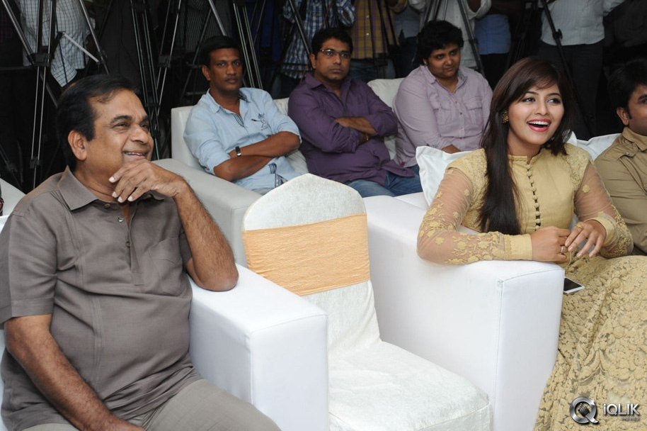 Geethanjali-Movie-Success-Meet